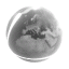 change-de-paradigme-1